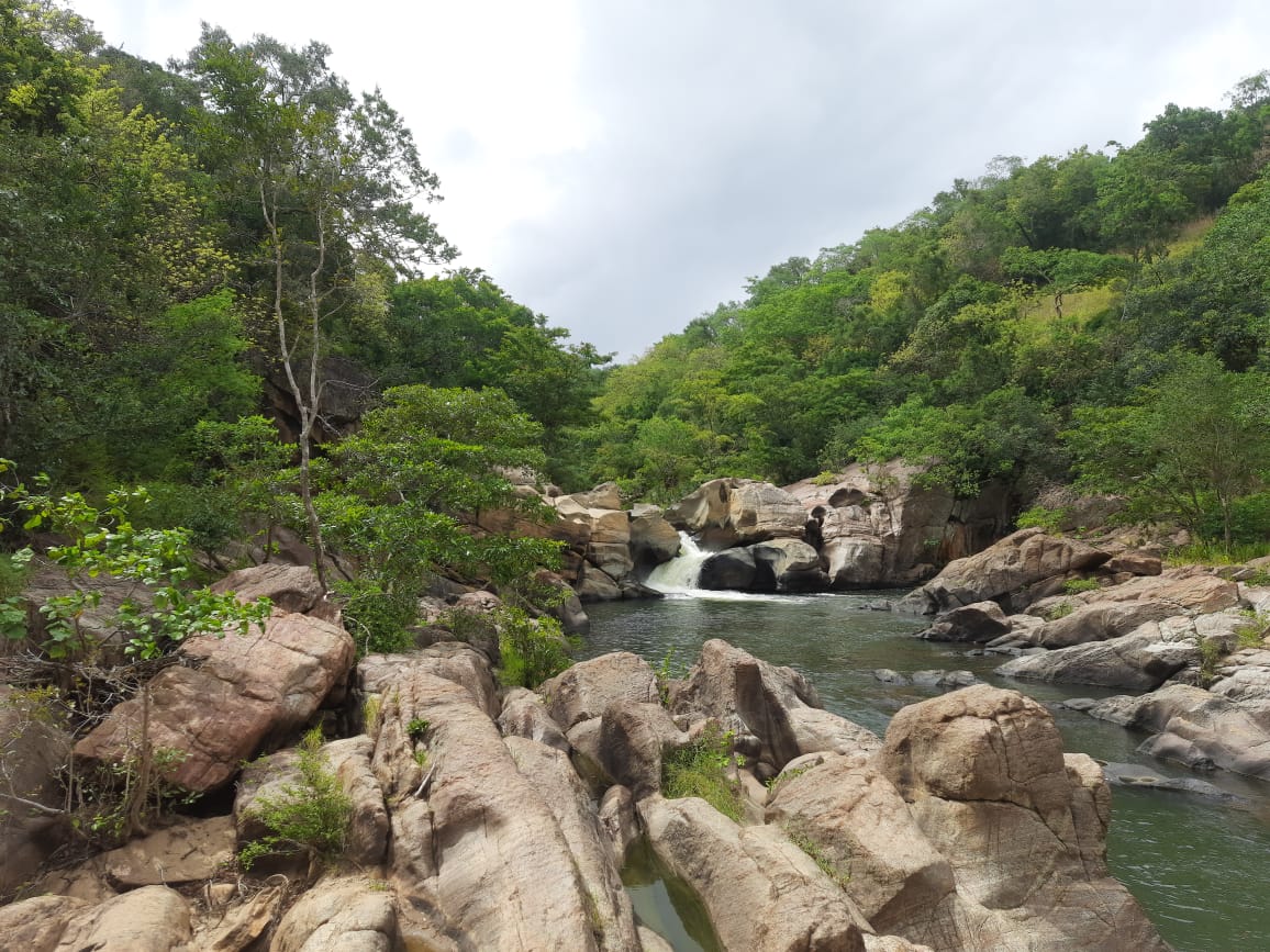 walawe river